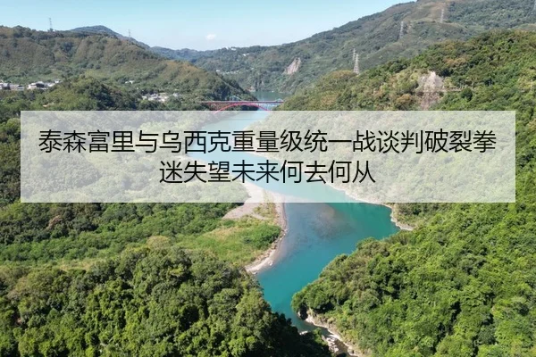 泰森富里与乌西克重量级统一战谈判破裂拳迷失望未来何去何从