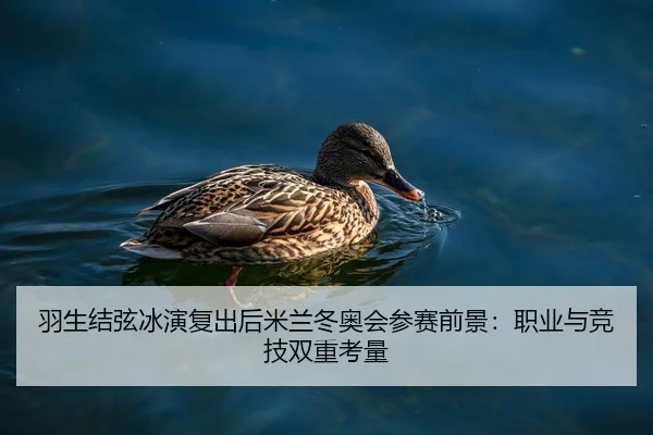 羽生结弦冰演复出后米兰冬奥会参赛前景：职业与竞技双重考量